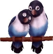 Les oiseaux