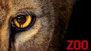 ZOO