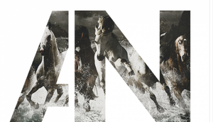 Awolnation, nouvel album Run