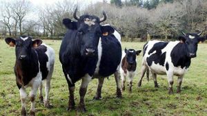 Repenser notre modèle agricole pour sortir de la crise