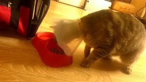 C'est pas facile de manger avec ça!!