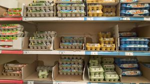 Oeufs