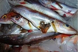 Centrafrique: des cartons de poissons avariés en vente à Bangui