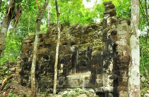 Eté 2014 : deux cités mayas découvertes dans le Yucatan (Mexique)