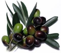 Huile d Olive je t adore!