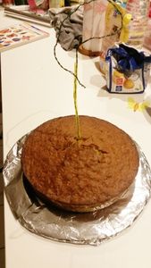 Le Gravity Cake