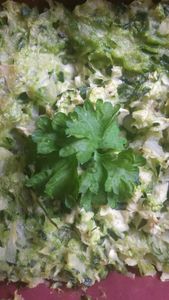 "Mousse" de courgettes