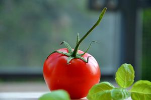 Tartelettes tomate cerise-pesto