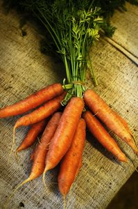 Gratin mi-pâtes mi-carottes