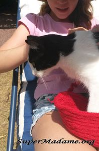 Brico marmots : un "coucouche-panier" en tricotin pour le chat