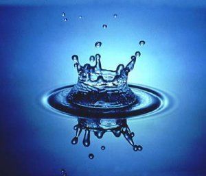 Les hormones responsable de la rétention d'eau