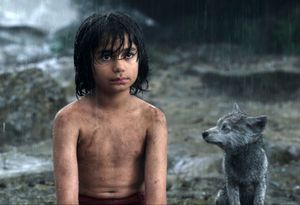 Neel Sethi.
