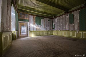 A quoi pouvait bien servir ce genre de salon ?
