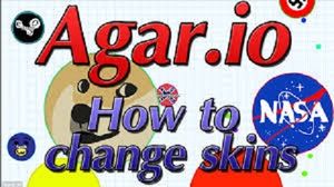 Agario Skins ?