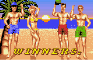 Le félin à la plage