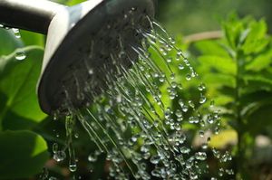 Arrosage : mesures de consommation d'eau