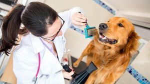Máster en Farmacología Veterinaria