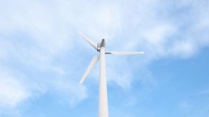 Máster en Medio Ambiente y Gestión Sostenible (Online)