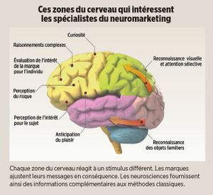 Le Neuromarketing