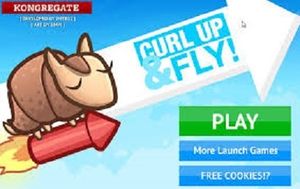Curl Up and Fly Game