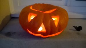 Happy Halloween !!