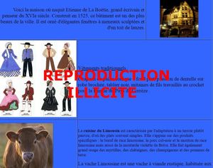 Mes dessins protégés par Copyright
