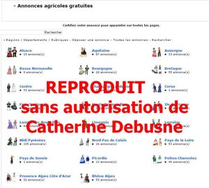 J'en ai marre qu'on pique mes dessins !