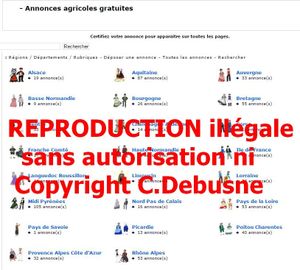 Mes dessins protégés par Copyright