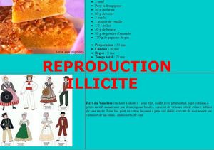 LETTRE AUX RECTEURS