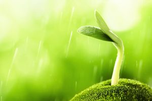 #Startup : comment préparer sa 2eme levée de fonds