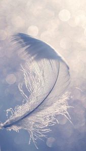 Les anges existent-ils?