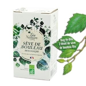PENSEZ A LA CURE DE PRINTEMPS : LA SEVE DE BOULEAU !