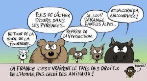 Est-ce qu'on respecte toujours les droits des animaux?