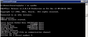 Solution: ORA-03113: end-of-file on communication channel