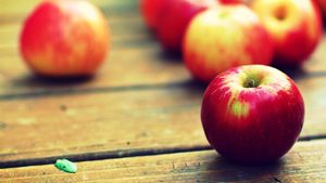 Mon épicerie Fine de Terroir à sélectionné pour vous de nombreux produits du terroir d'automne