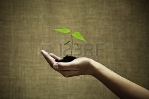 La santé, les plantes, l'allopathie