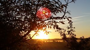 Guérir sans médicament