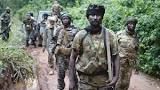 CENTRAFRIQUE/ Plus de 500 ex-combattants Séléka optent pour l'agriculture et l'Elévage