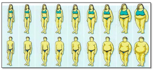 APE2 We don’t have a body, we are a body