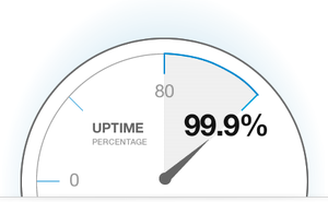 Benefits of Uptime Monitoring