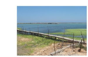 impact de l'aquaculture Tunisienne sur l'environnement