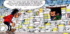 L'ancillarité des documentalistes
