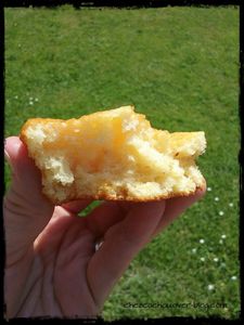 Gâteaux moelleux au citron et pralin