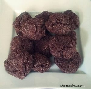 Rochers coco chocolat