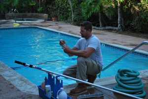 What Are the Perks of Opting For an Ideal Pool Service?