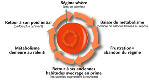 Sleeve et métabolisme