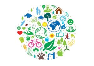 Notre vision de l'environnement