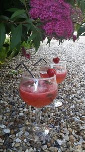 Mojito fraise