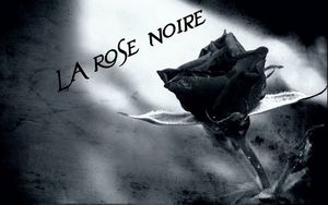 La rose noire...