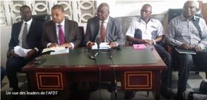 Centrafrique : 228.512 voix manquent dans les résultats de l’ANE, selon l’AFDT